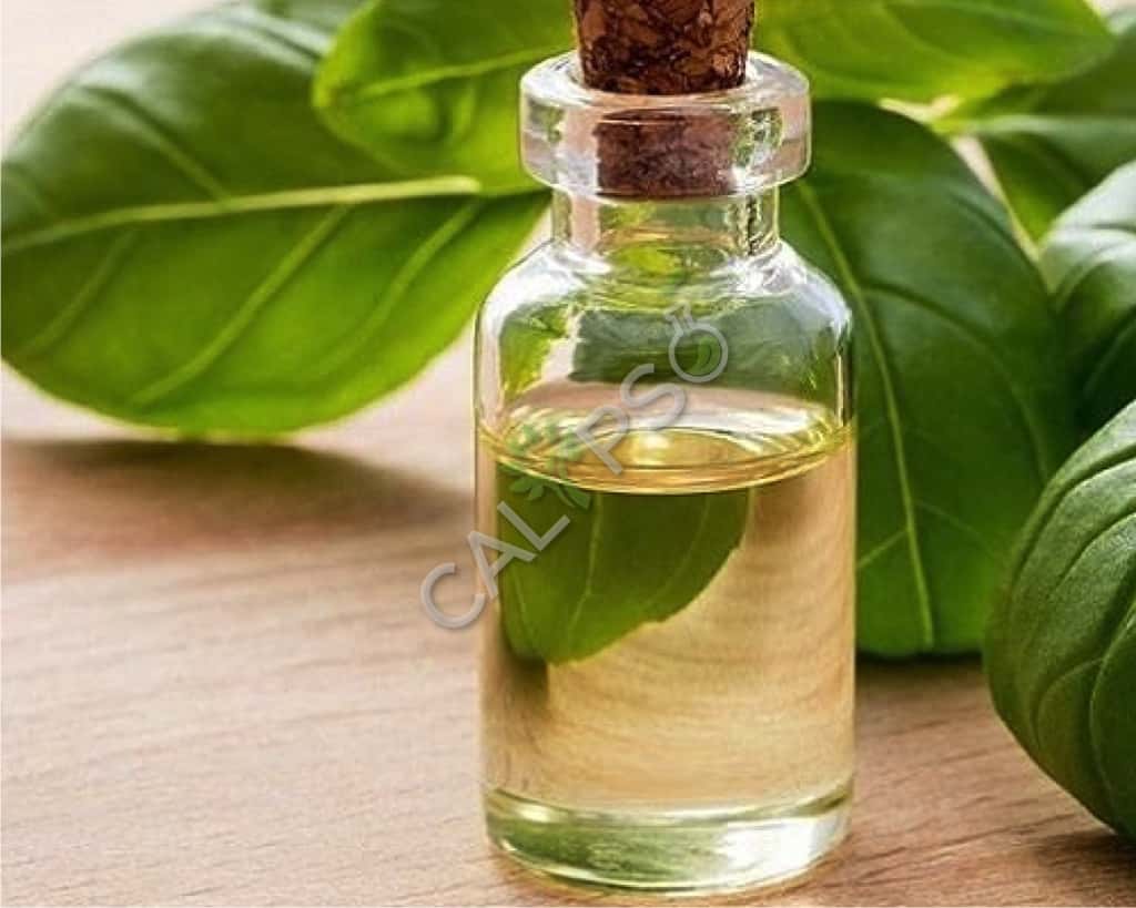 Basil Oil Near Me